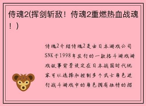侍魂2(挥剑斩敌!侍魂2重燃热血战魂!)